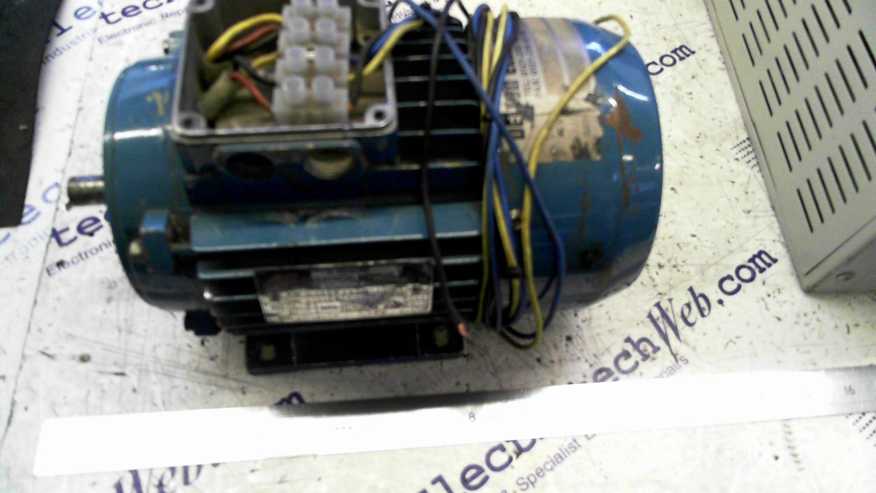 Delton Electric Motor