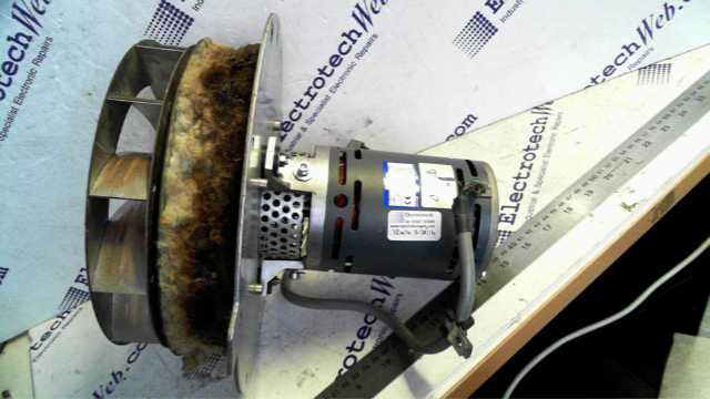 EADmotors Induction Motor