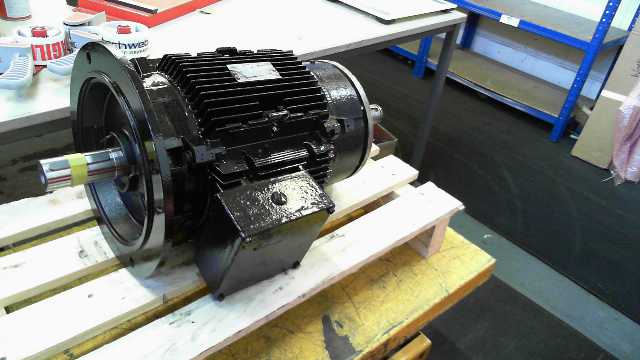 AEG Motor