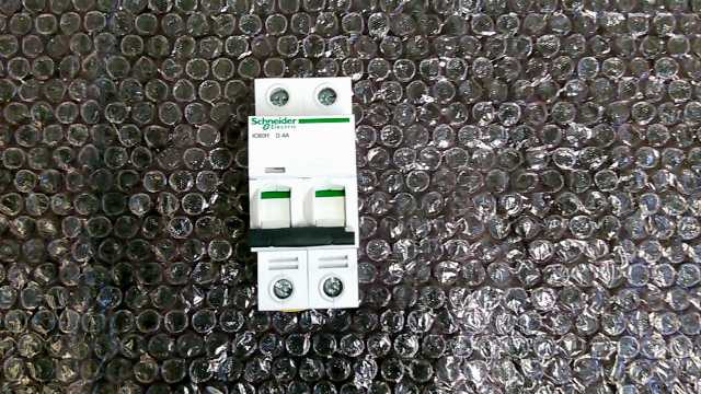 Schneider Double Pole