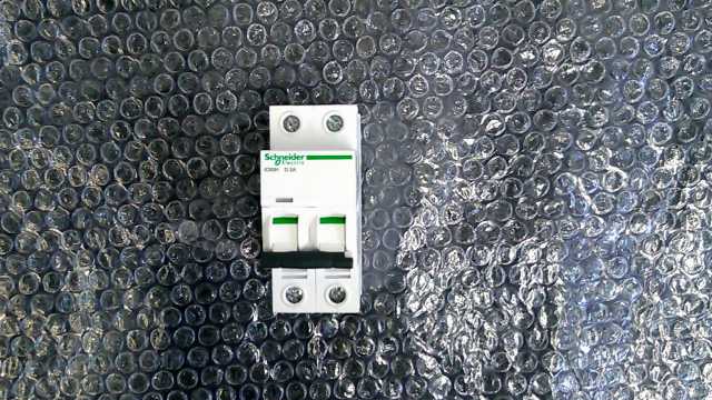 Schneider Double Pole