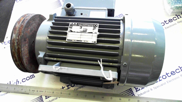 Elettromeccanica Motor